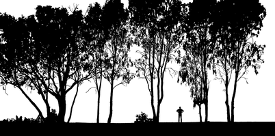 Logo Umweltstiftung