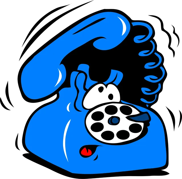 Phone: 